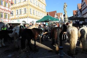 Sehenswürdigkeiten Veranstaltungen Leonberg Sehenswürdigkeiten Veranstaltungen Leonberg
