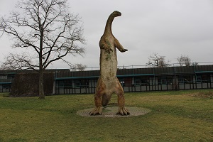 Naturkunde Museum am Löwentor Naturkunde Museum am Löwentor