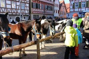 Pferdemarkt Leonberg Pferdemarkt Leonberg Marktplatz