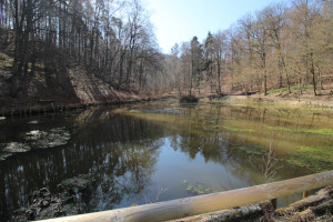 Seefest Leonberg am Tiefenbachsee Seefest Leonberg am Tiefenbachsee