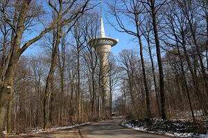 Naherholungsgebiet Waldebene Ost Naherholungsgebiet Waldebene Ost Wangener Höhe