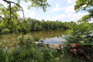 Bärenschlössle und Parkseen Stuttgart Bärenschlössle und Parkseen Stuttgart