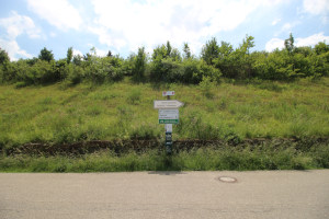 Wengerterfest Leonberg Eltingen Wengerterfest Leonberg Eltingen