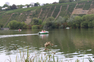 Naherholungsgebiet Max-Eyth-See