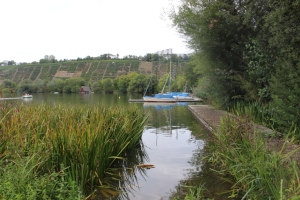 Fischerfest Stuttgart Hofen Stuttgarter Fischerfest