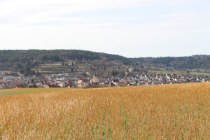 Merklinger Straßenfest Weil der Stadt Straßenfest Merklingen Weil der Stadt