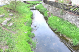 Uferfest Malmsheim Renningen Uferfest Malmsheim Renningen