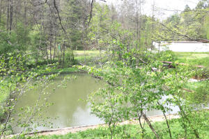 Fischerfest Schönaich-Steinenbronn Fischerfest Schönaich-Steinenbronn